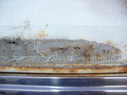 '55 Chevy Bel Air (157).JPG